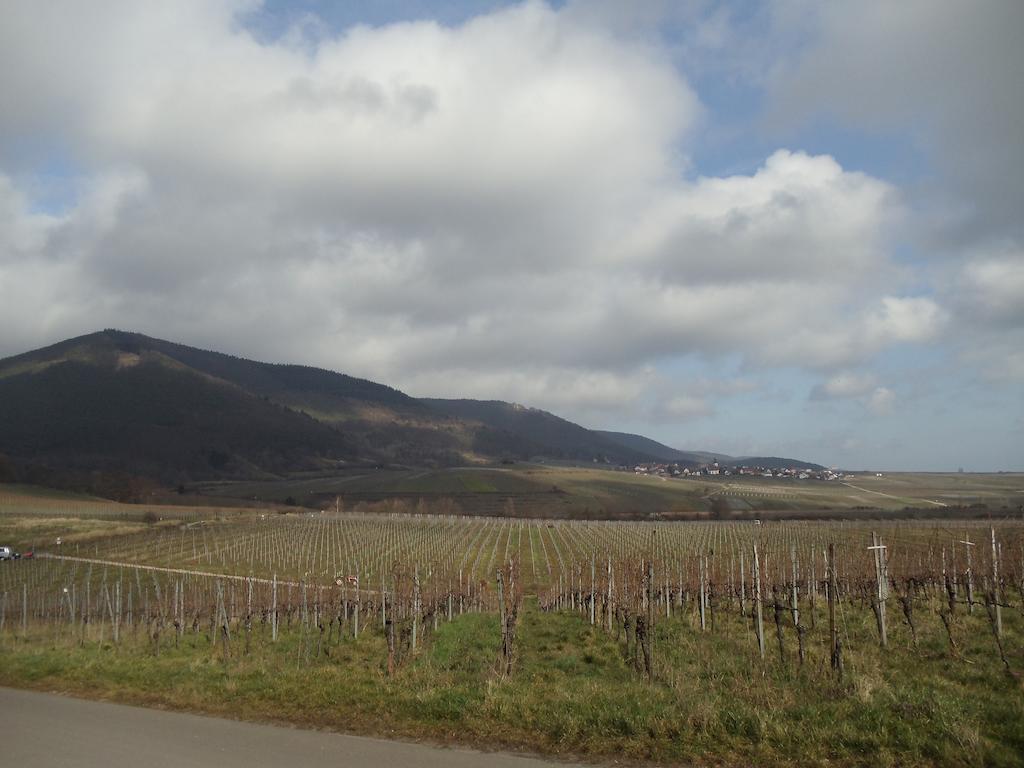 Weinhotel Kienle Burrweiler Exteriér fotografie