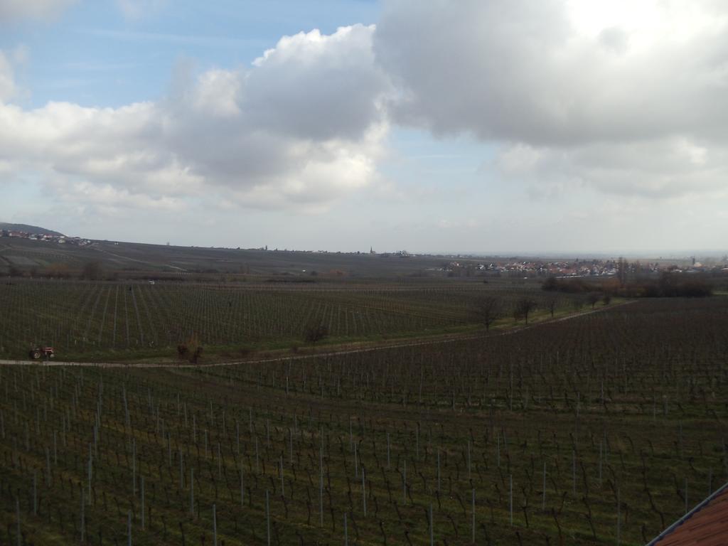 Weinhotel Kienle Burrweiler Exteriér fotografie