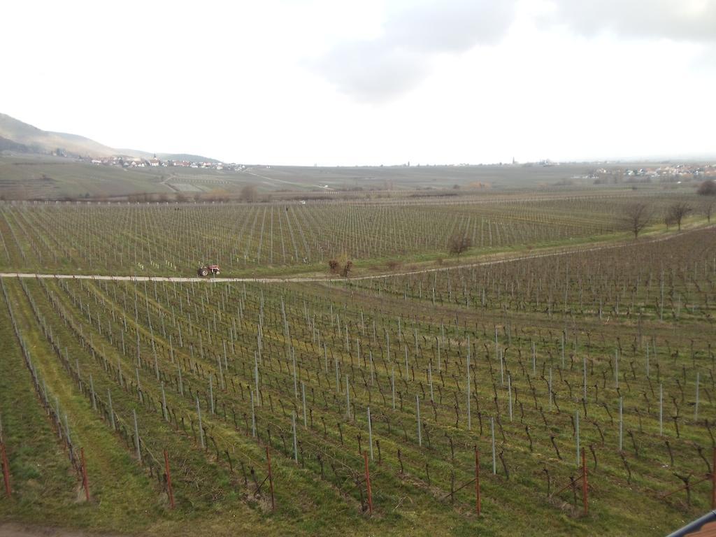 Weinhotel Kienle Burrweiler Exteriér fotografie